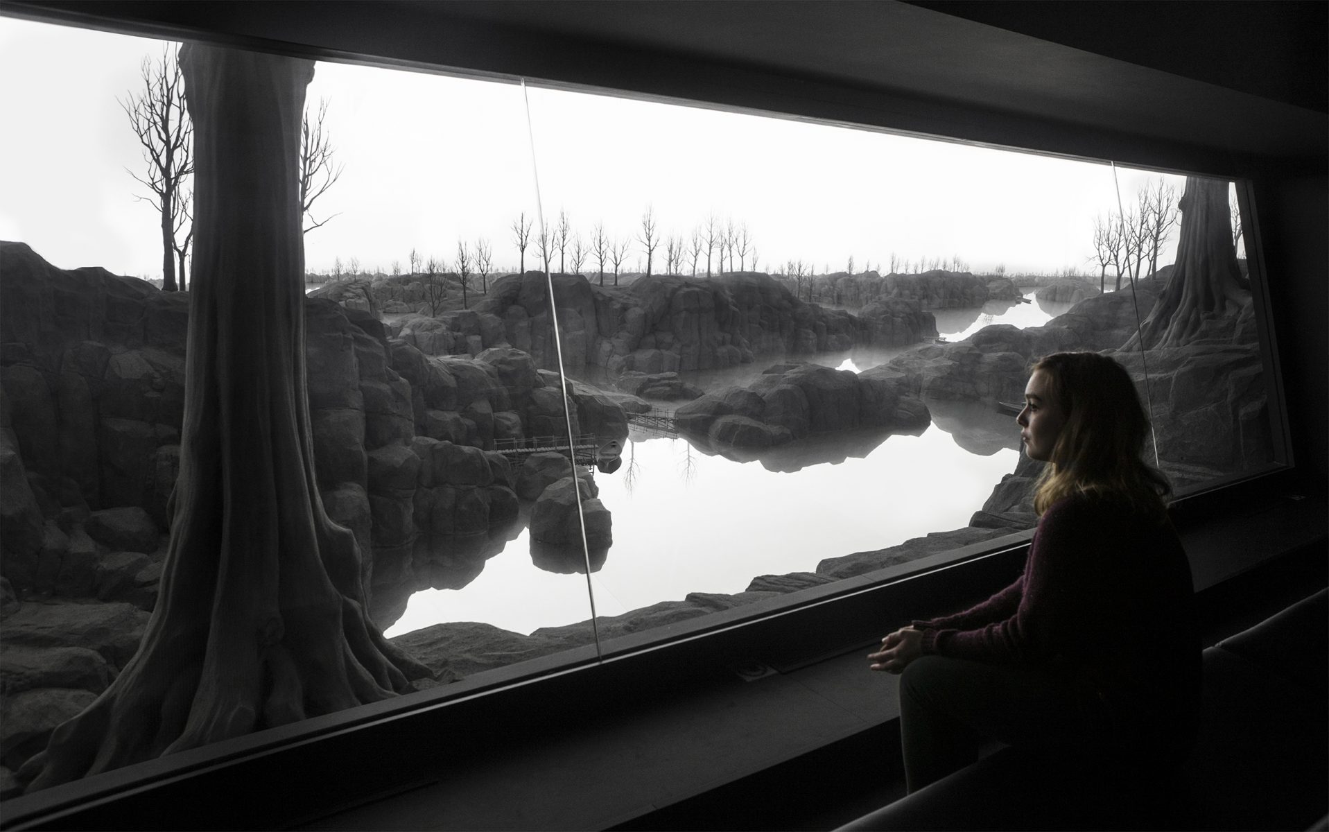 'Het Stille Uitzicht' van kunstenaar Hans Op de Beeck