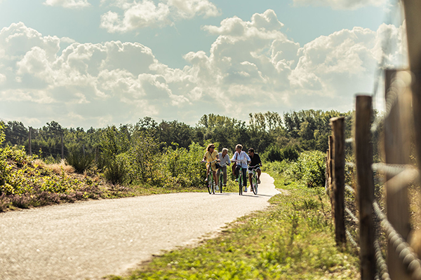 Vriendengroep fietsers in Limburg