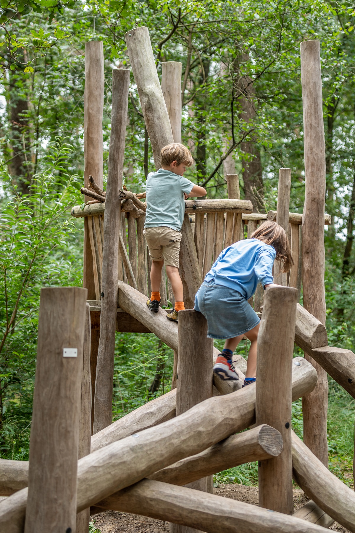 Kinderen spelen in het Joekelbos in Nationaal Park Hoge Kempen