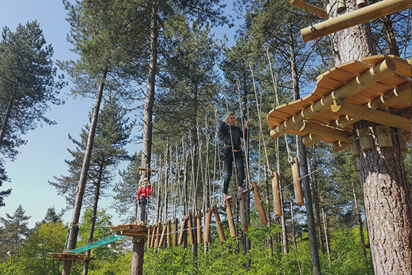 Kinderen klimmen in de bomen in Adventurepark De Warre bij Maaseik