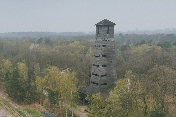 Uitzicht over de uitkijktoren in As en de omliggende natuur van Nationaal Park Hoge Kempen