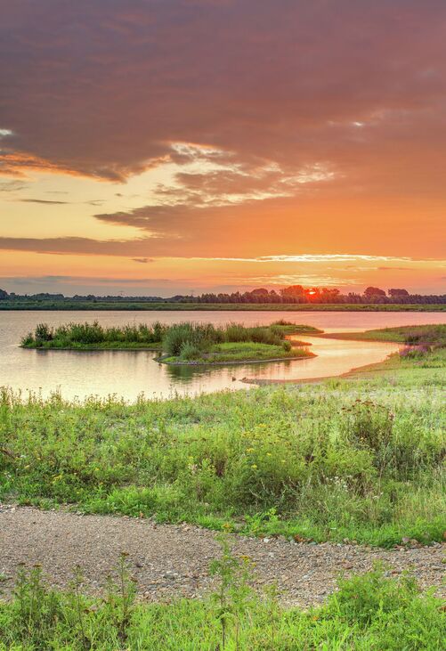 Uitzicht over de Maasplassen in Kinrooi bij zonsondergang