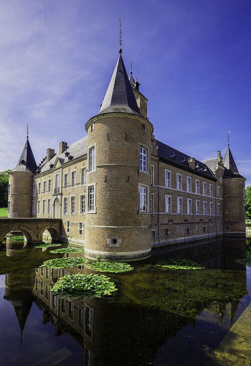 Waterburcht Landcommanderij Alden Biesen in Bilzen