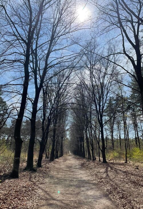 Raadsel wandeling met hapjes en drankjes in Pietersembos (Plezierige wandeling - 6 km) - Pietersembos