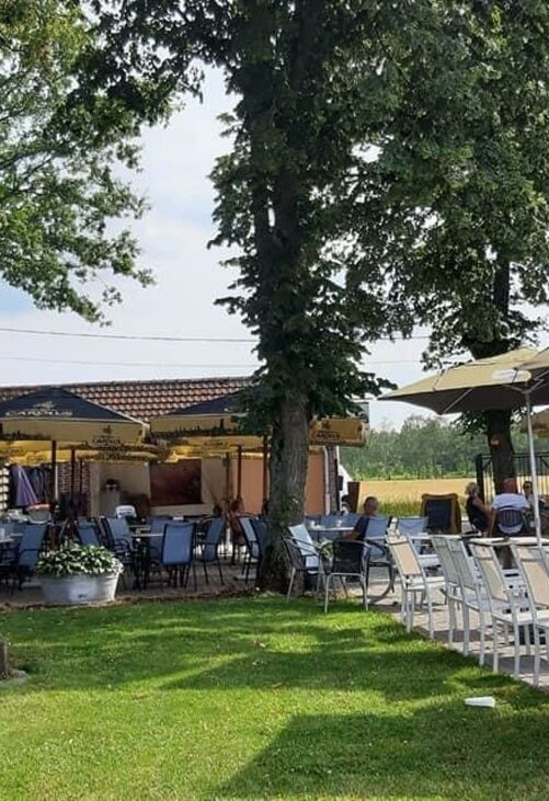 Zomerterras Aen de Bullenschool - Overzicht buitenterras met de oude lindebomen.