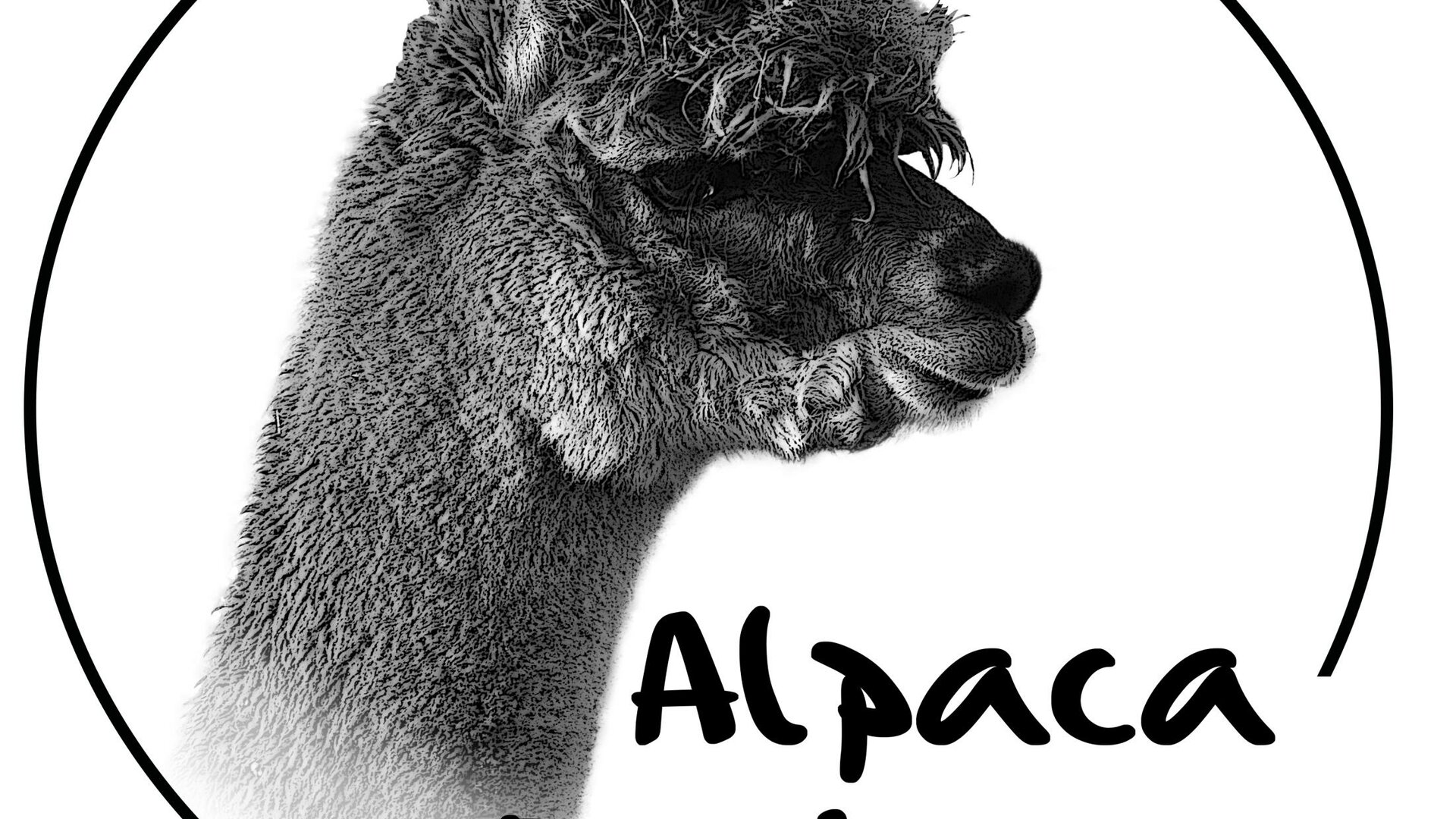 Alpaca Teambuilding - Logo
