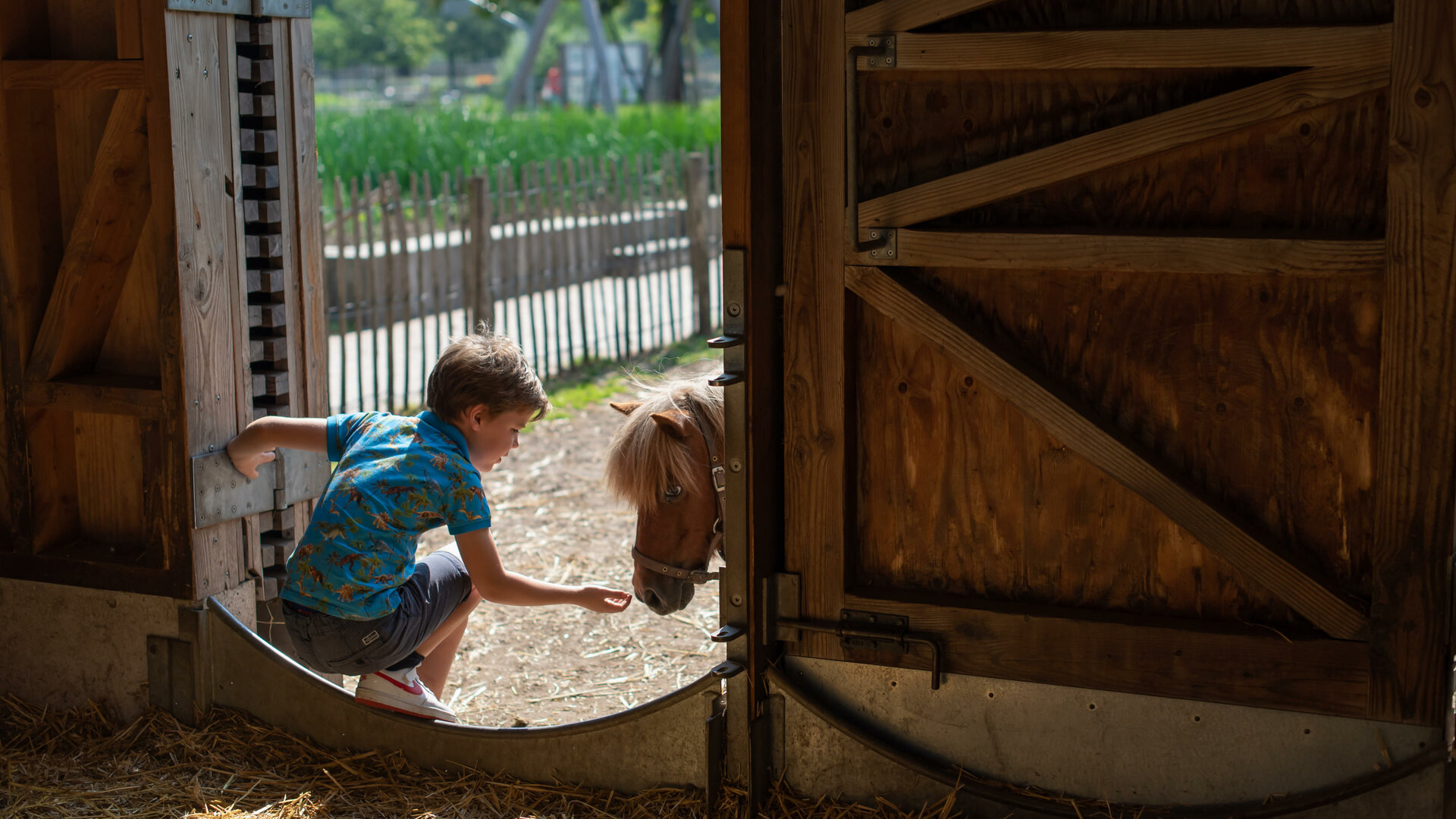 Breugelhoeve - Breugelhoeve knuffelboerderij pony kind