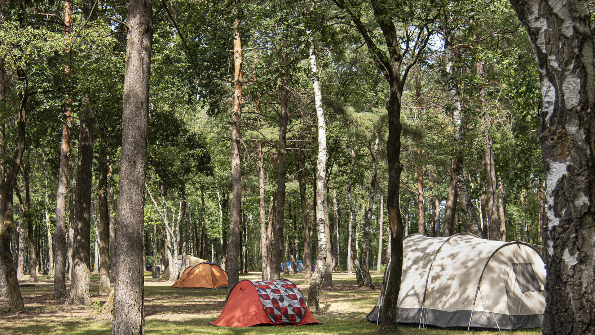 Camping De Binnenvaart - Onze tentenweide..., zalig!