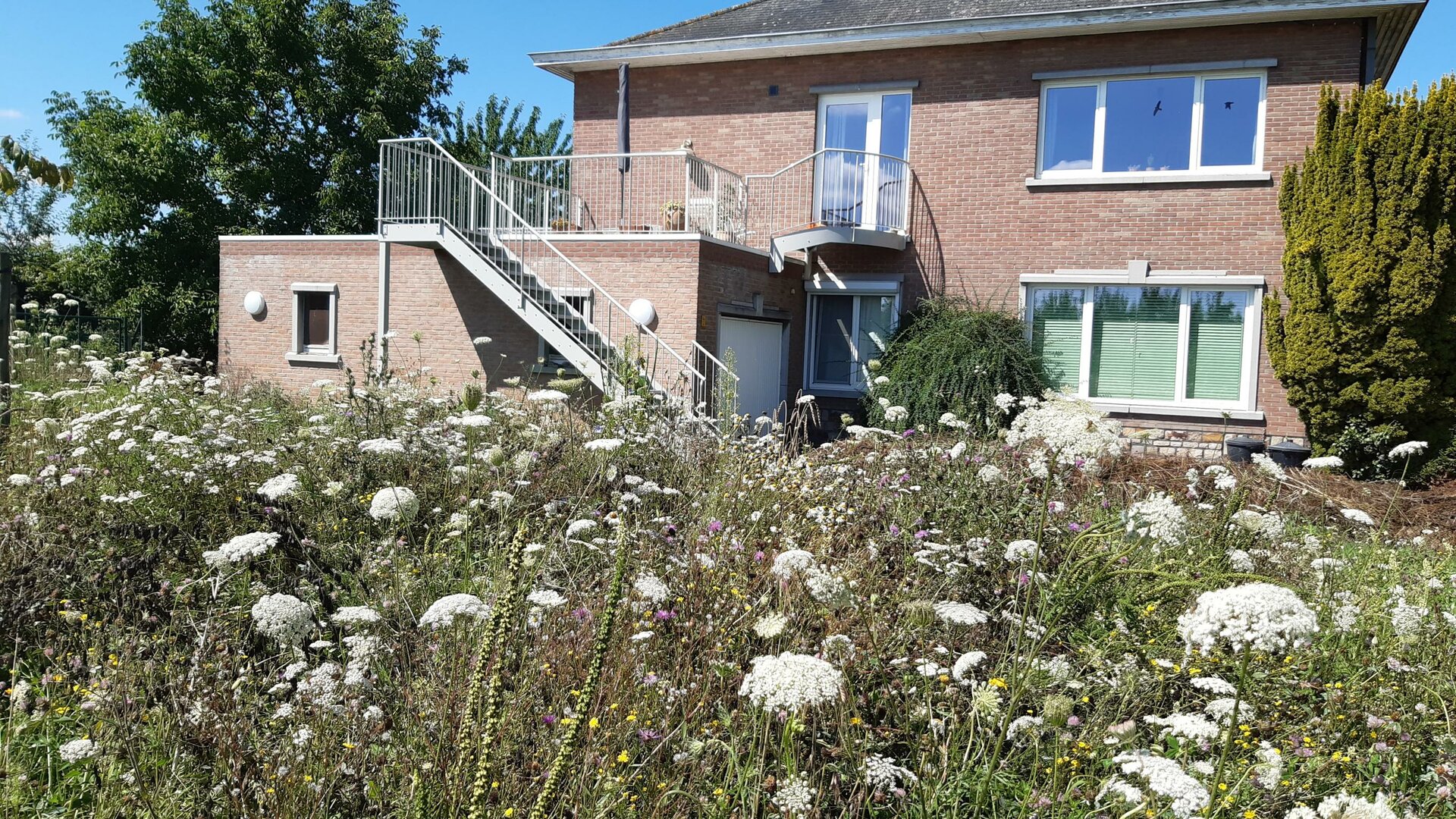 De tuin van Agatha - Notelaar - zicht op de bloemenweide en het terras