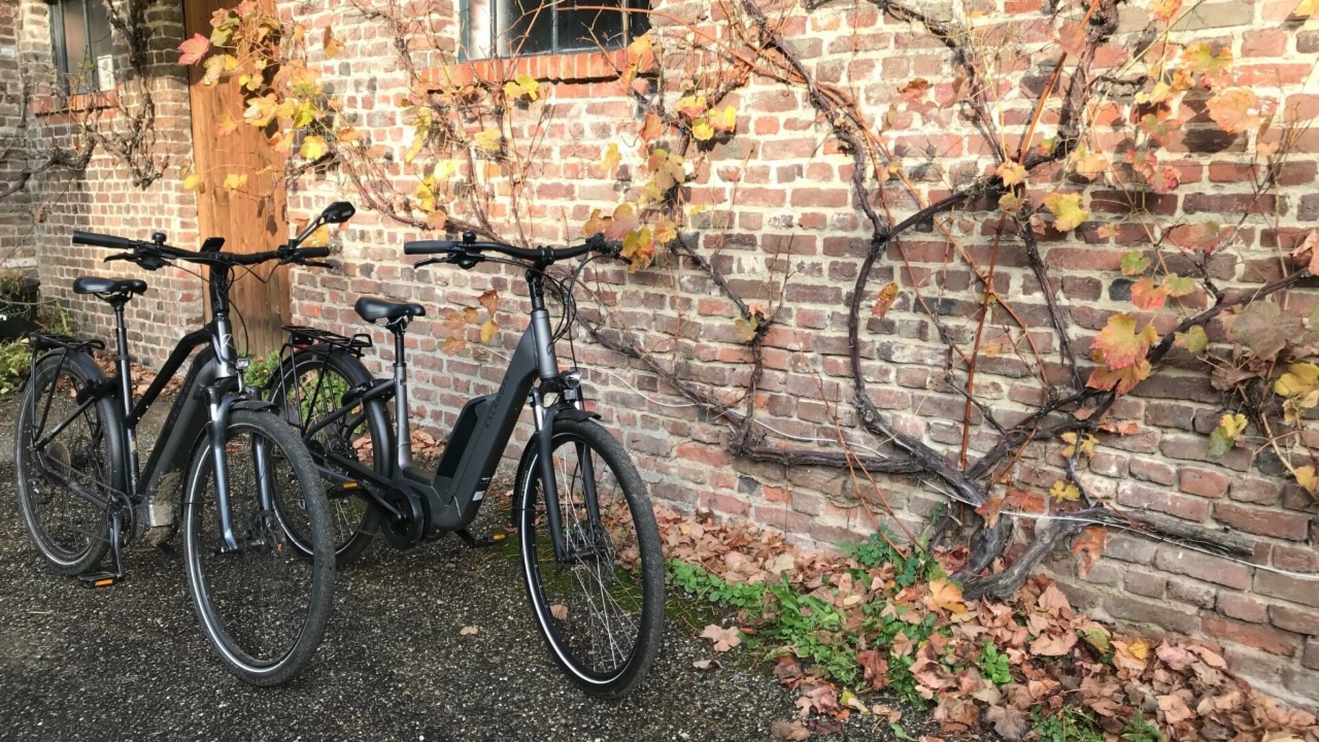 Het Loonderhof - E-bikes