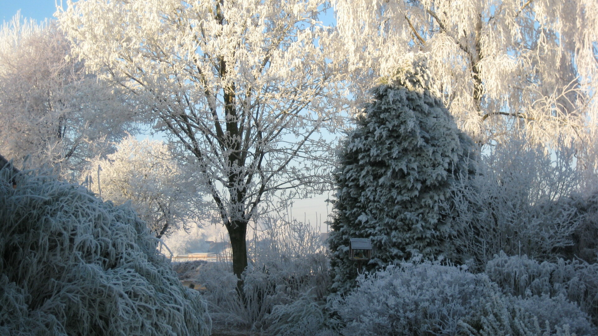 Het Uilennest - Winter in de tuin