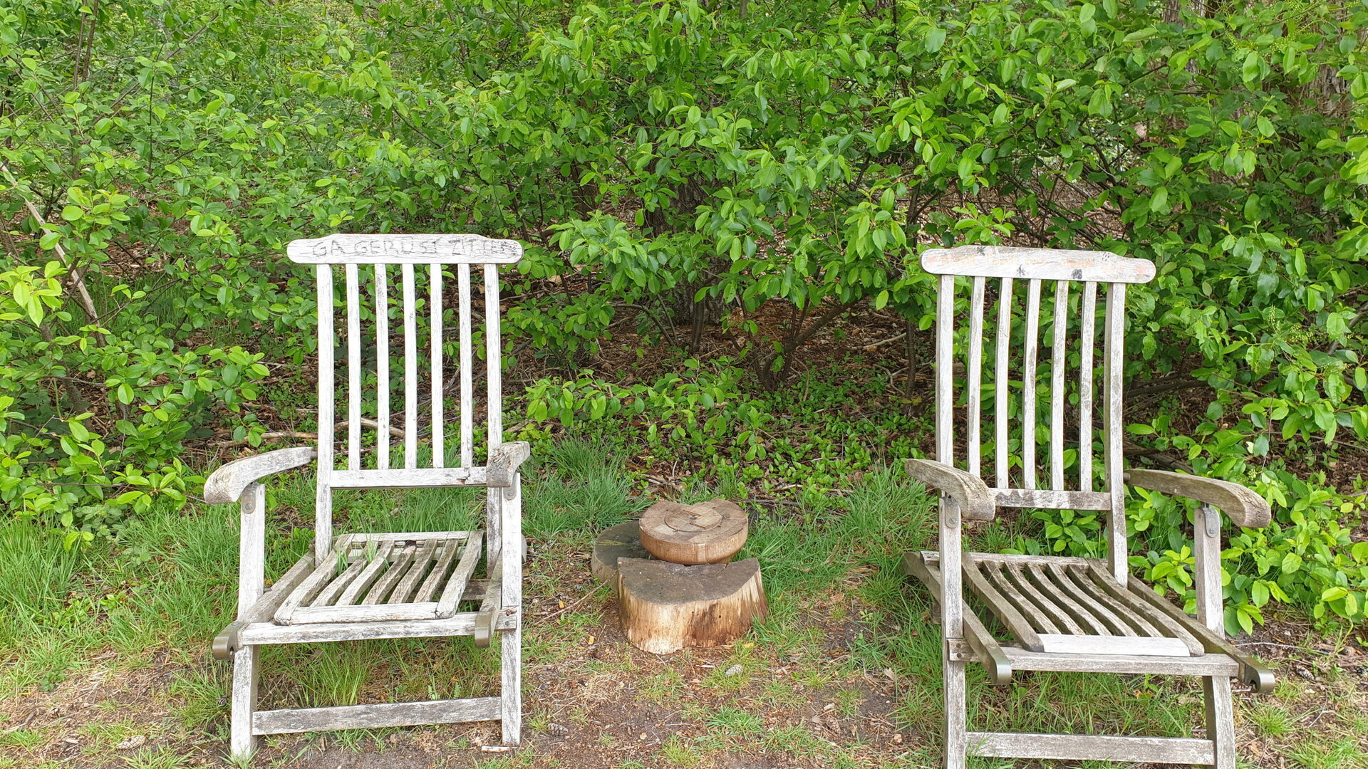 Het Wielenhuisje - Deze twee stoeltjes vind je in het bos.