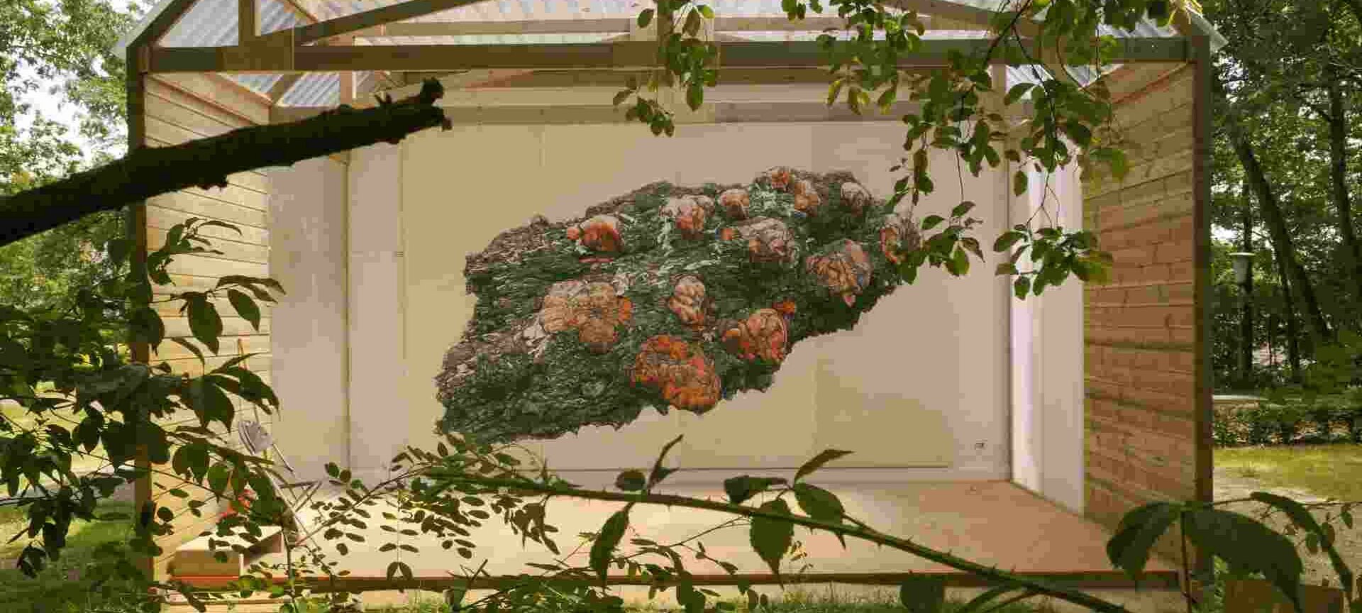 Emile Van Dorenmuseum: Huis van landschap en kunst - Erik Odijk - "A meteorite named Erica"