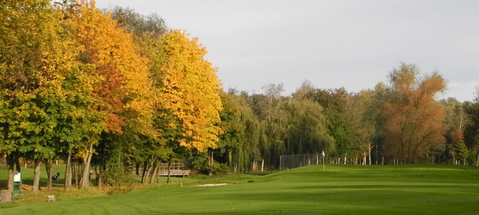 Golfclub Hasselt - herfst