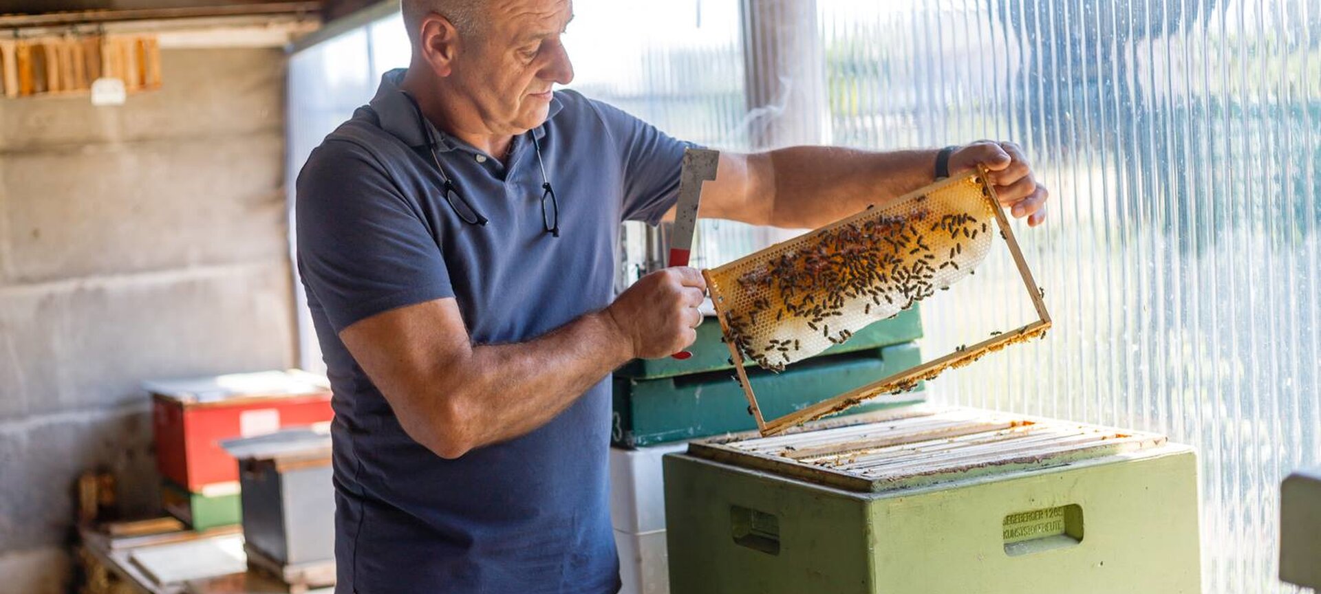 Imkerij 't Fleurtje Limburgse Honing soorten - honing productie eigen raat