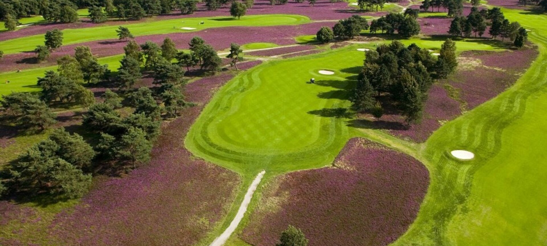 Koninklijke Limburg Golf Club - Heidebaan van Koninklijke Limburg Golfclub