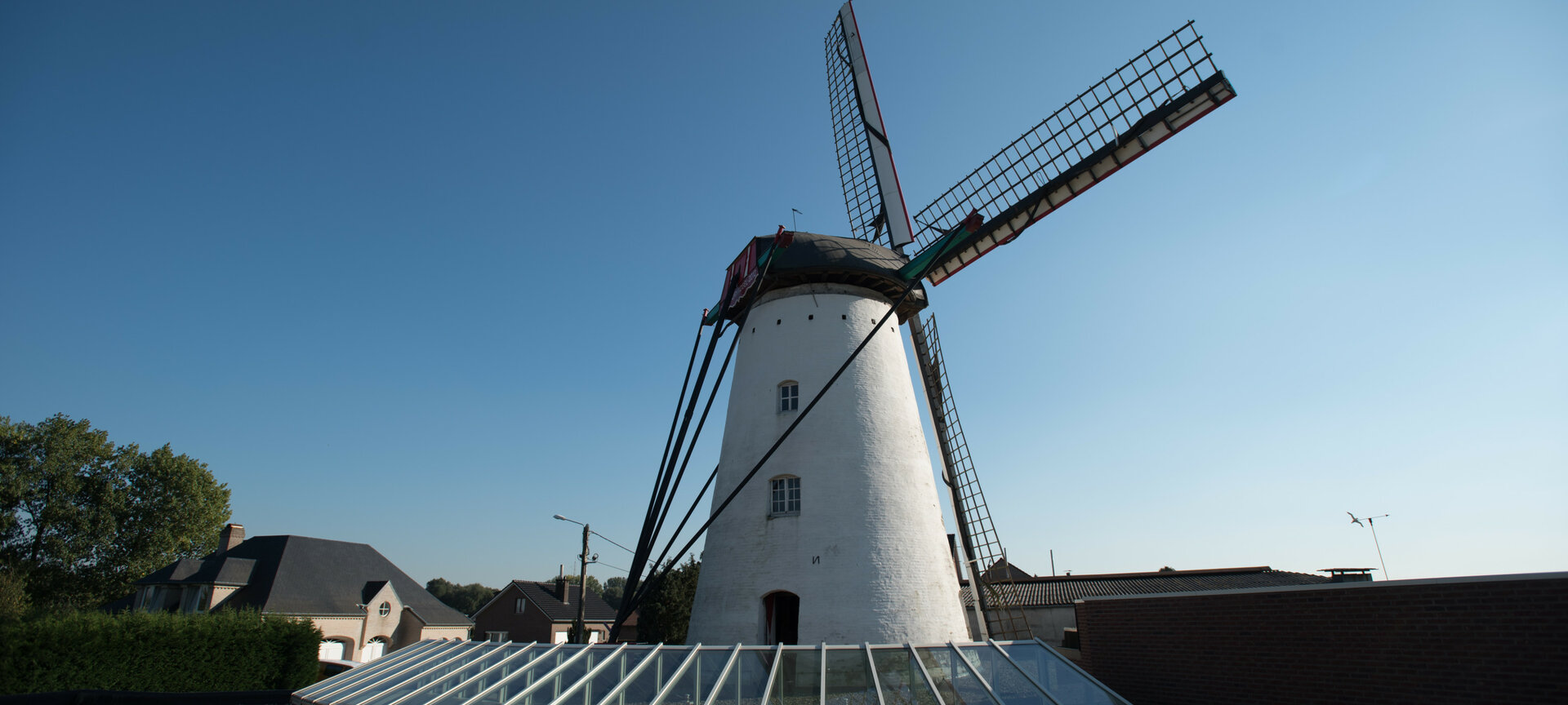 Molen 'De Stormvogel' - Wind Mill outside 2