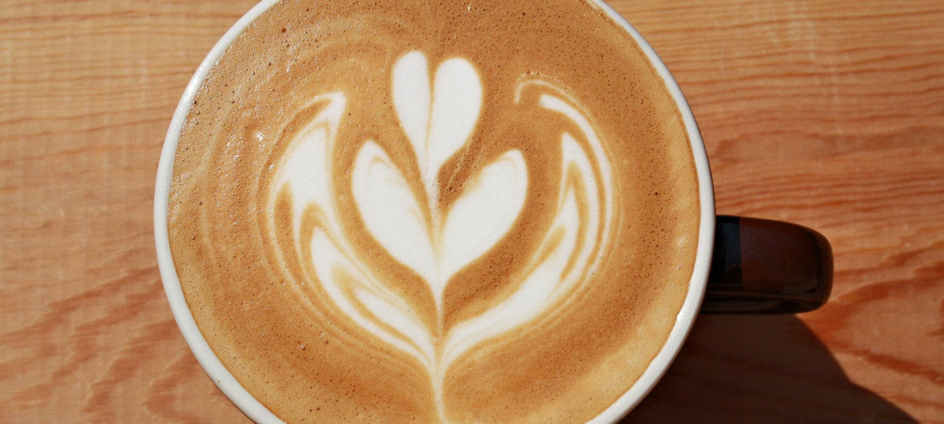 Mucho Gusto Coffee - Latte Art