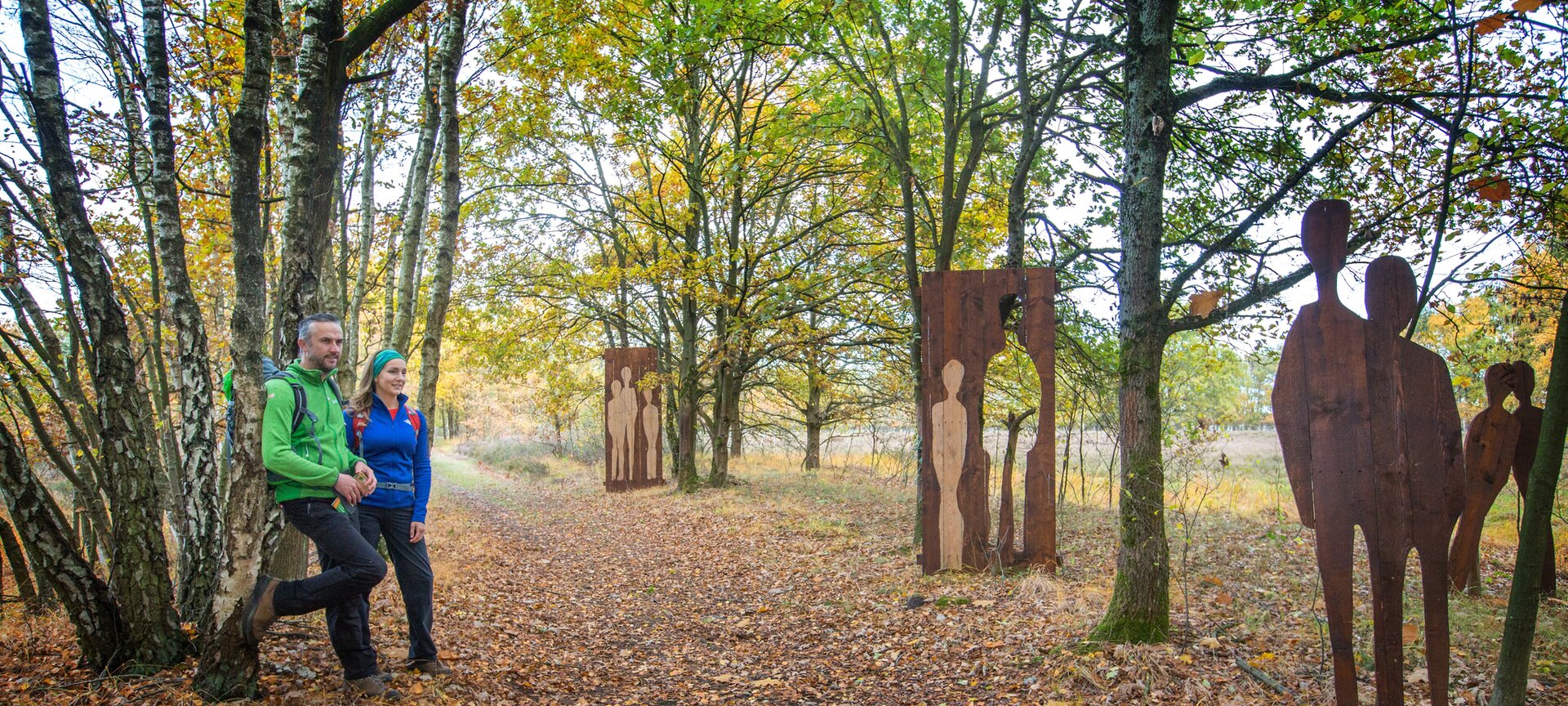 Nationaal Park Bosland: Wandelgebied Holven - 't Plat - Diverse kunstwerken in 't Plat