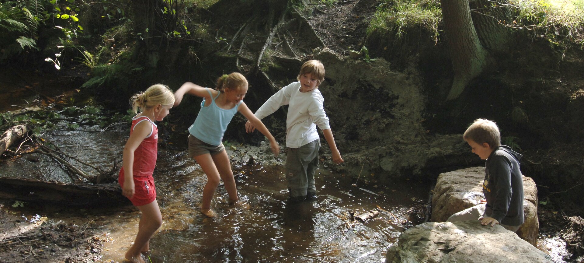 Nationaal Park Bosland: Wandelgebied Resterheide - spelen in het water