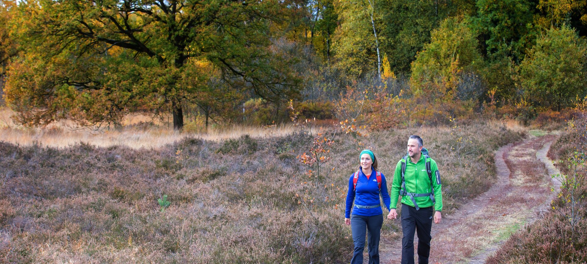 Nationaal Park Bosland: Wandelnetwerk - wandelen in Bosland
