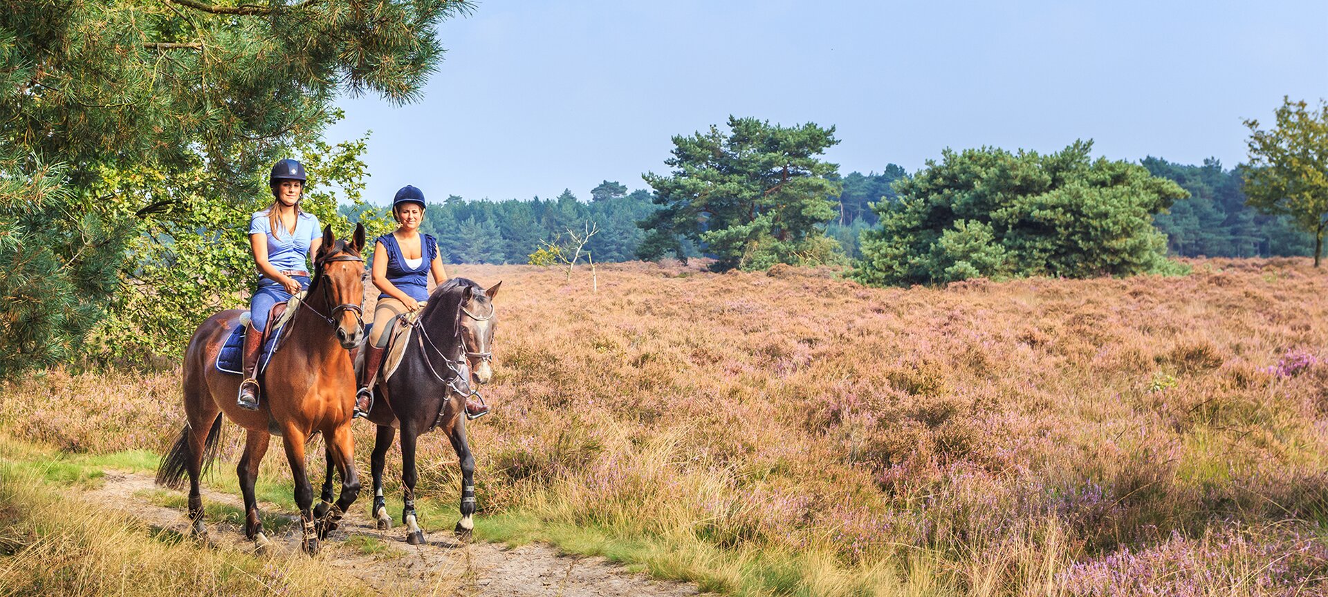 Paardrijden in Hechtel-Eksel - Bosland Ruiteren Pijnven