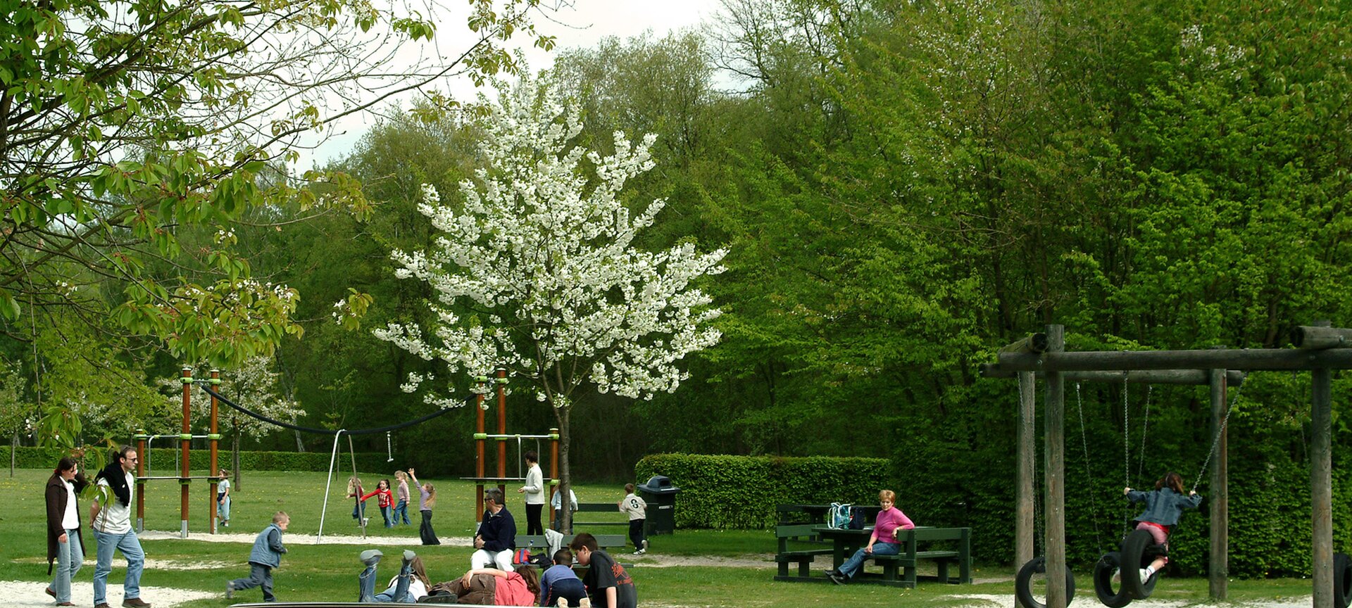 Picknickplaats Nieuwenhoven - Picknickplaats Nieuwenhoven