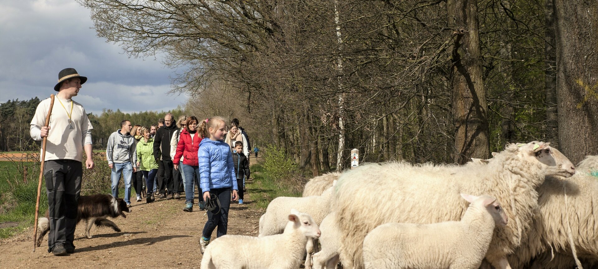 Picknickwandeling met de herder en zijn schapen - Picknickwandeling met de herder en zijn schapen