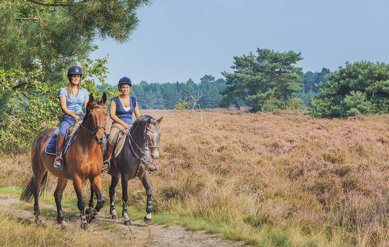 Paardrijden in Bosland