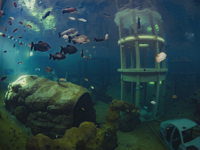 Onderwaterbeeld in Todi in be-MINE te Beringen
