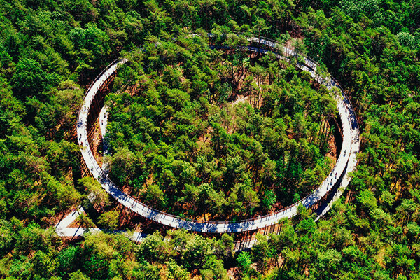 Luchtfoto van Fietsen door de Bomen in Bosland