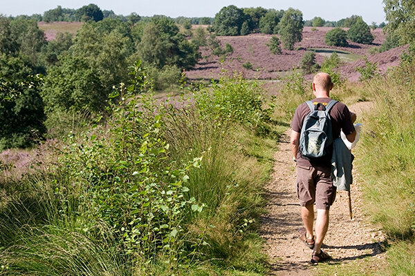 Long-distance walk The Hoge Kempen National Park