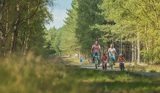 Gezin met kinderen fietst door de groene bossen van Bosland