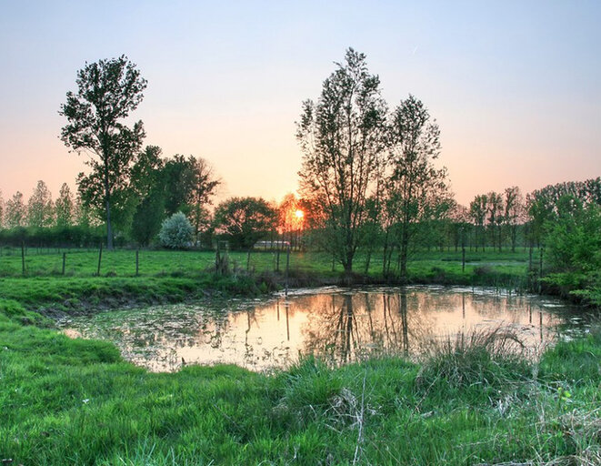 Landschap van Nietelbroeken in Diepenbeek