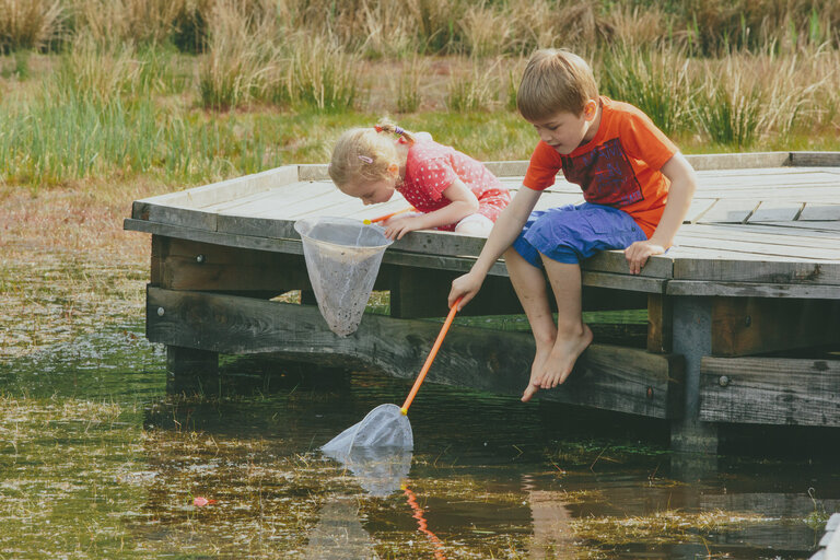 Kinderen vissen aan het water in domein Kelchterhoef in Houthalen-Helchteren