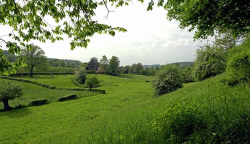 Landschap met heuvels, weides en dorpjes in de Voerstreek