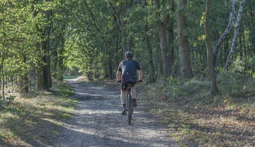 Mountainbiker op een pad in het bos van Oudsbergen