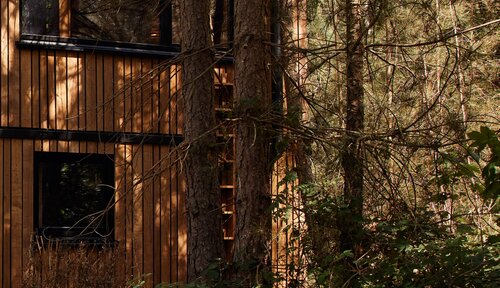 In Warredal in Maaseik staan prachtige cabins om heerlijk weg te dromen tussen te bomen.