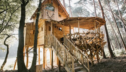 Warredal - Treehouse met sauna nr. 33 - Treehouse met sauna